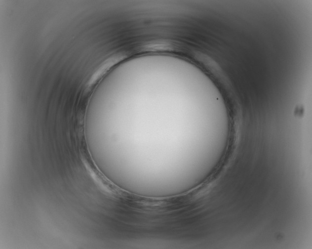 X0000113621225200909181108