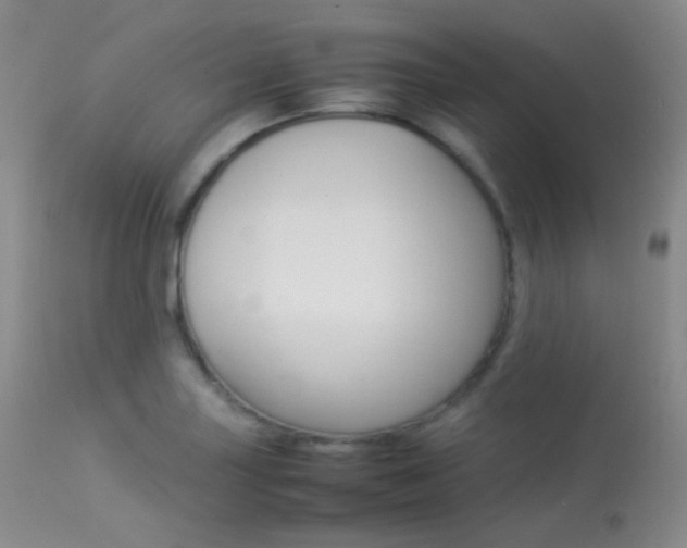 X0000113621227200909181108