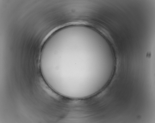 X0000113621228200909181108