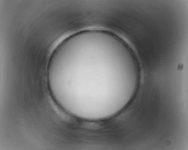 X0000113621229200909181108