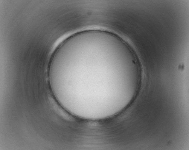 X0000113621230200909181108