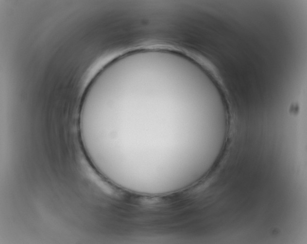 X0000113621231200909181108