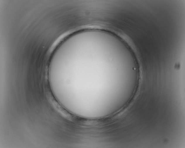 X0000113621232200909181108