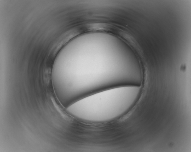 X0000113621233200909181108