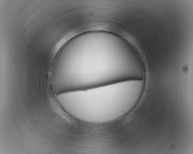 X0000113621234200909181108