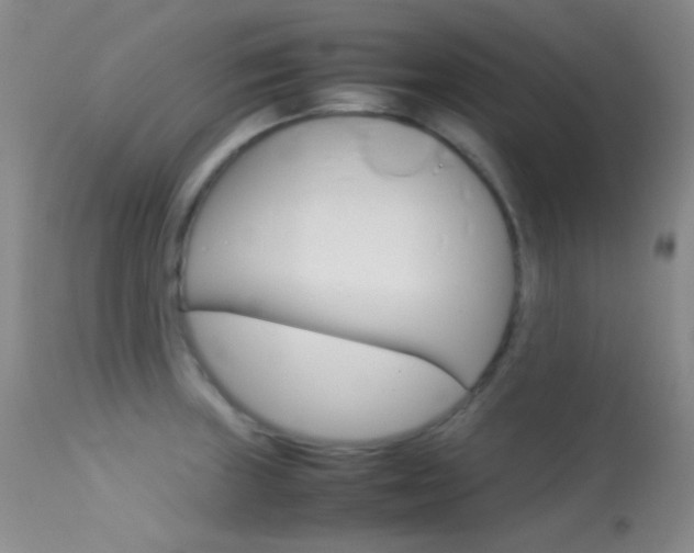 X0000113621235200909181108