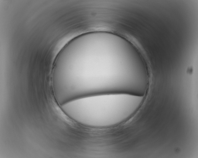 X0000113621236200909181108