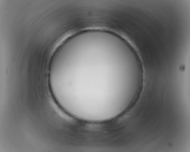 X0000113621237200909181108