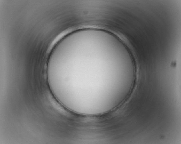 X0000113621238200909181108