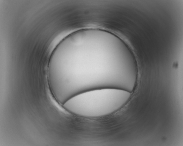 X0000113621239200909181108