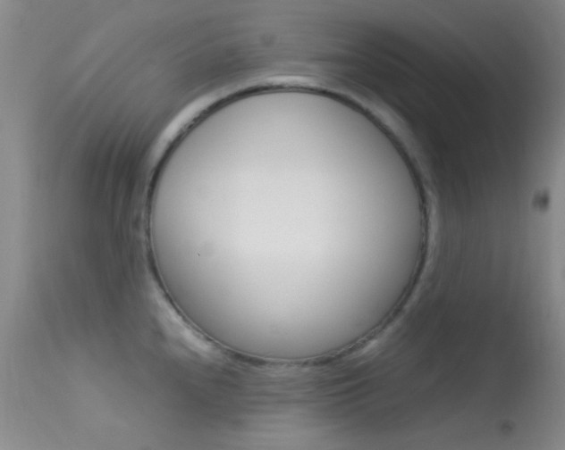 X0000113621240200909181108