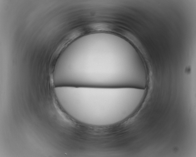 X0000113621241200909181108