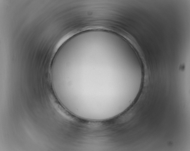 X0000113621242200909181108
