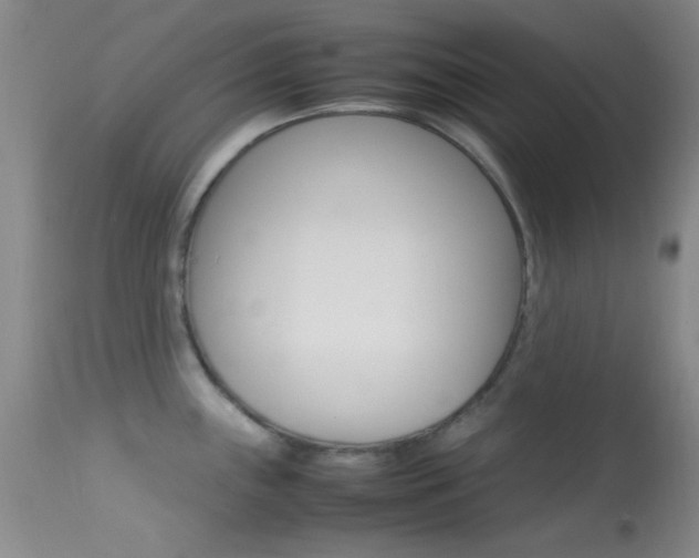 X0000113621243200909181108