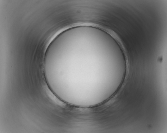 X0000113621244200909181108