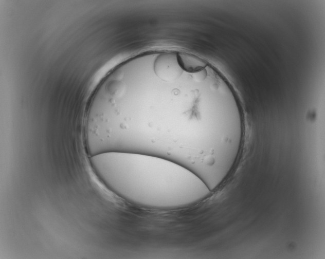 X0000113621245200909181108