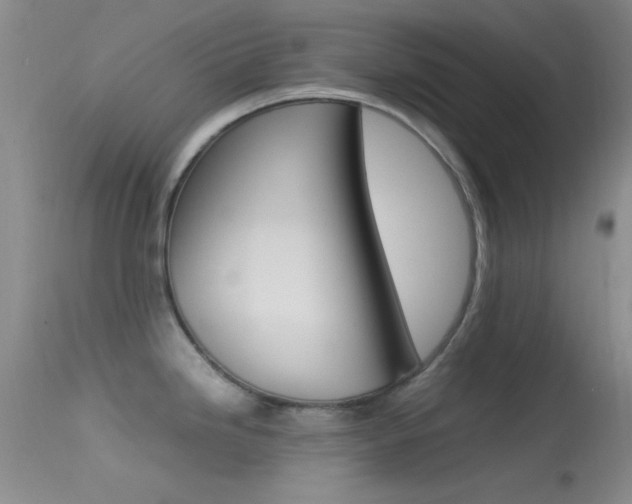 X0000113621246200909181108