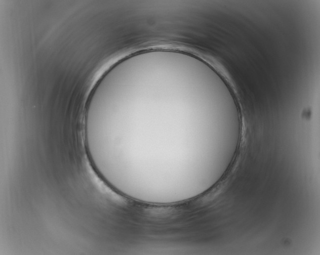 X0000113621247200909181108