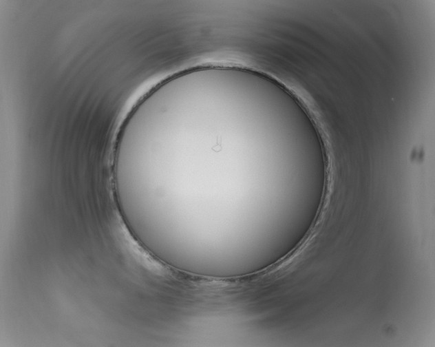 X0000113621248200909181108