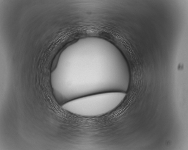 X0000113621249200909181107