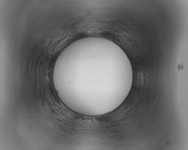 X0000113621250200909181107