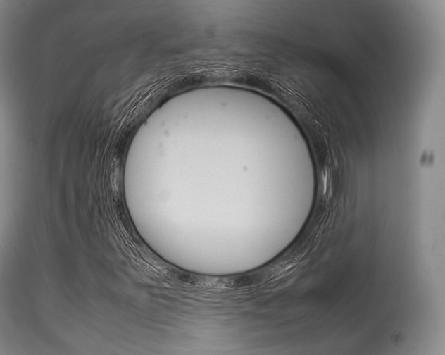 X0000113621251200909181107