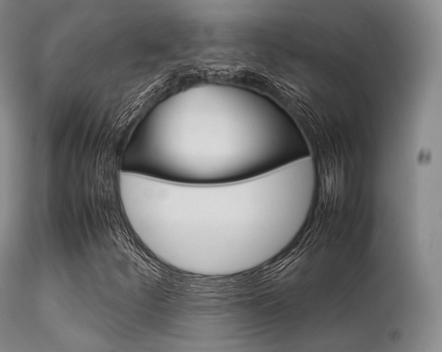 X0000113621252200909181107