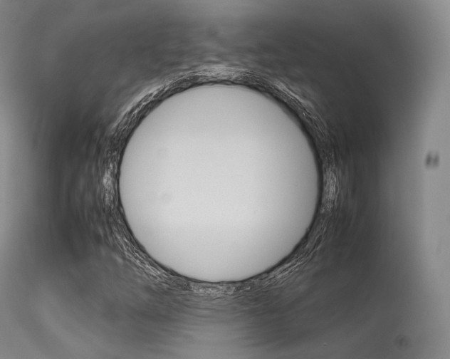X0000113621254200909181107
