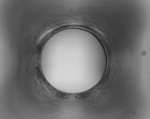 X0000113621255200909181107