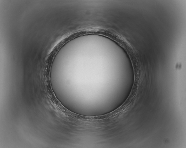 X0000113621256200909181107