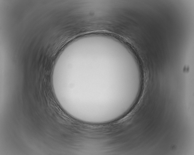 X0000113621257200909181107