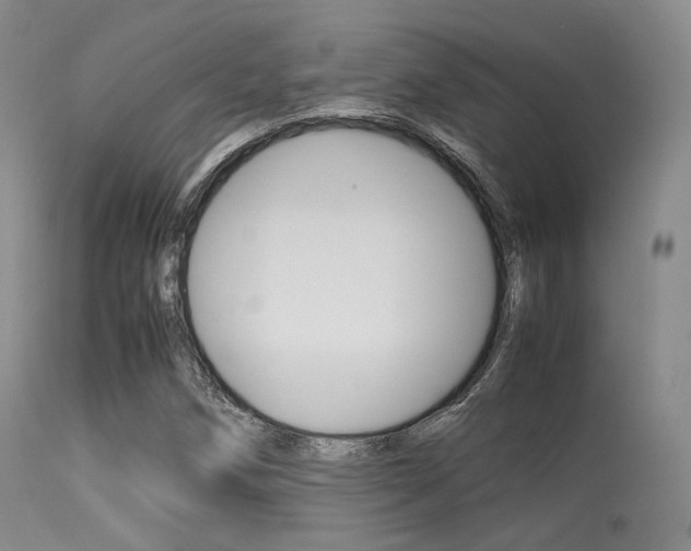 X0000113621258200909181107