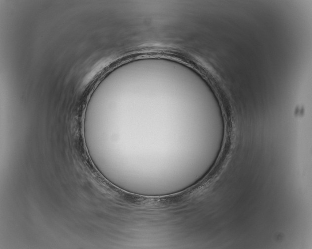 X0000113621259200909181107