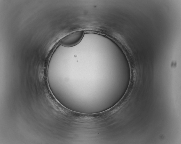 X0000113621260200909181107
