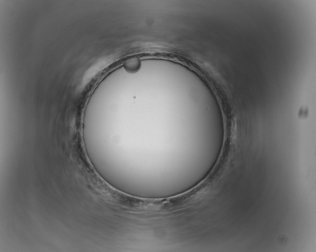 X0000113621261200909181107
