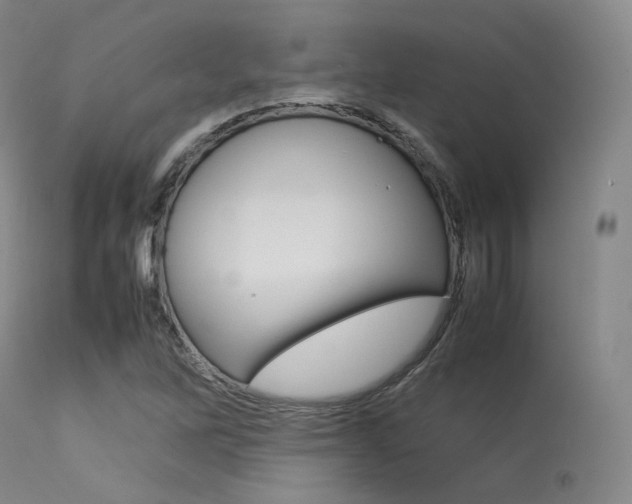 X0000113621262200909181107