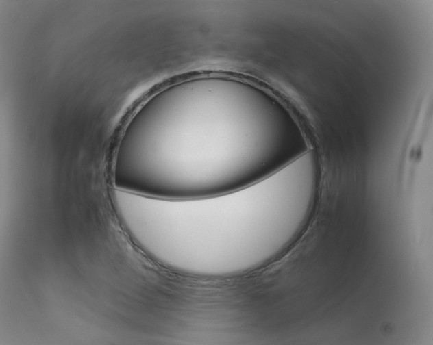 X0000113621264200909181107