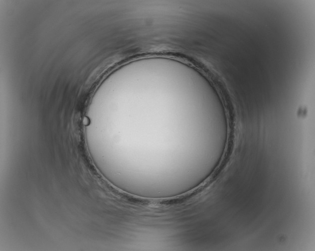 X0000113621265200909181107