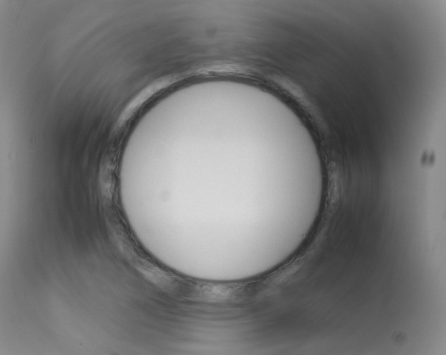 X0000113621266200909181107