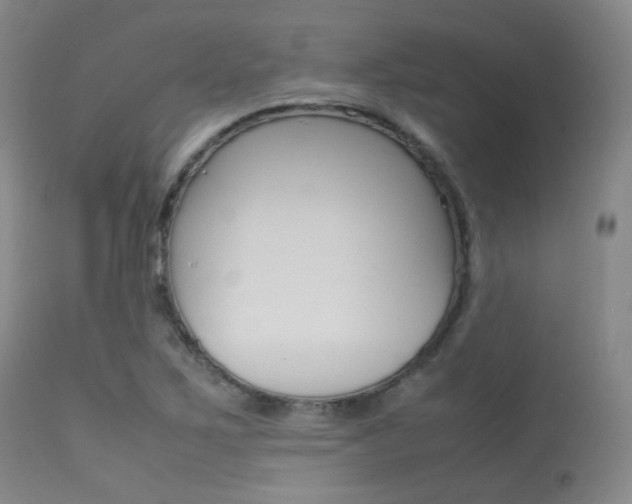 X0000113621267200909181107