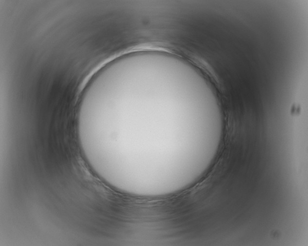 X0000113621268200909181107