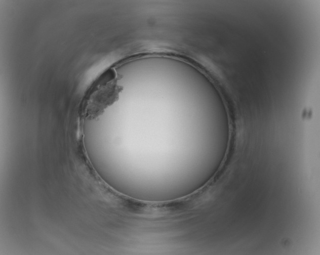 X0000113621269200909181107
