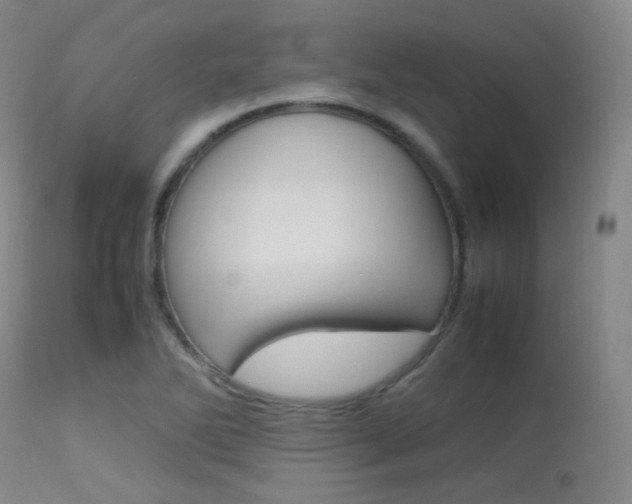 X0000113621270200909181107