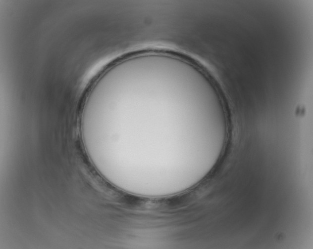 X0000113621271200909181107
