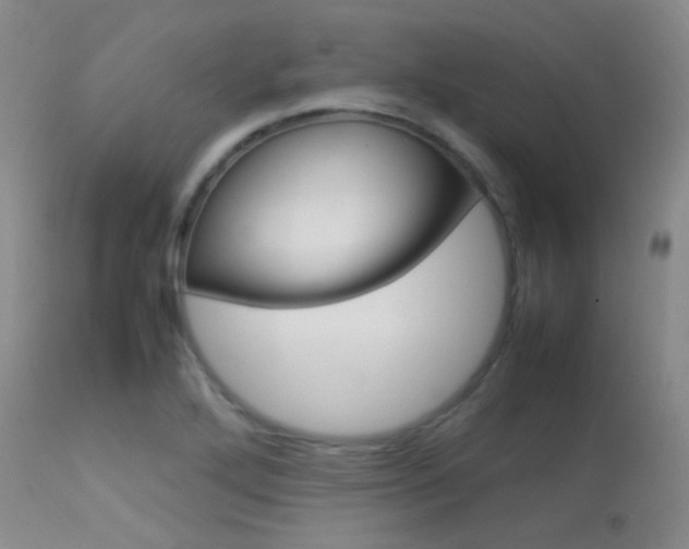 X0000113621272200909181107