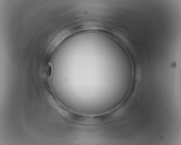 X0000113621273200909181107