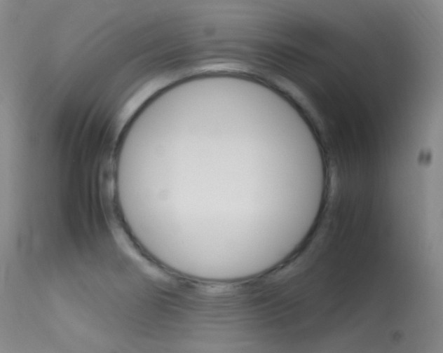 X0000113621274200909181107