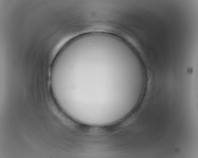 X0000113621275200909181107