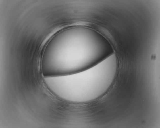 X0000113621276200909181107