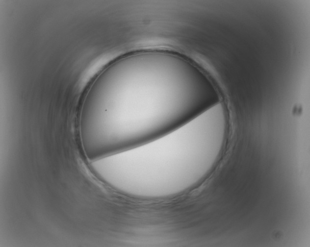 X0000113621277200909181107